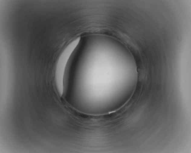 X0000113940560200910091625