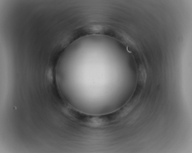 X0000113940562200910091625