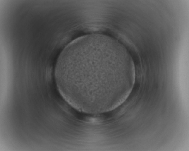 X0000113940563200910091625