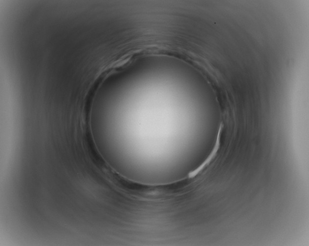 X0000113940564200910091625