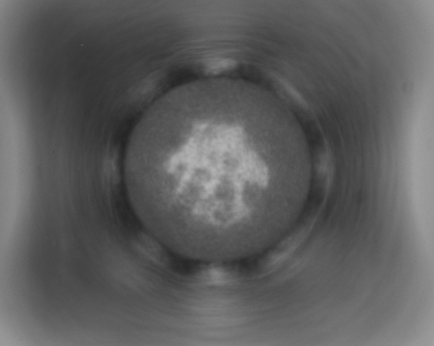 X0000113940565200910091625