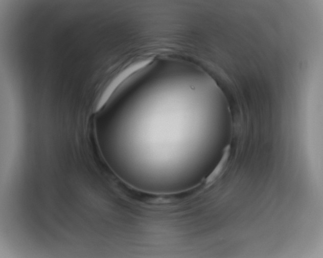 X0000113940566200910091625