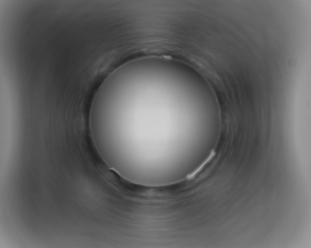 X0000113940568200910091625