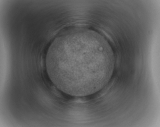 X0000113940569200910091625