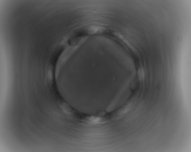 X0000113940570200910091625