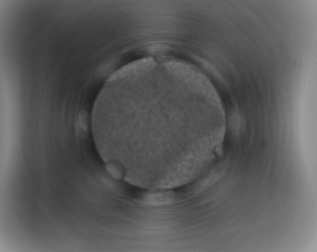 X0000113940571200910091625