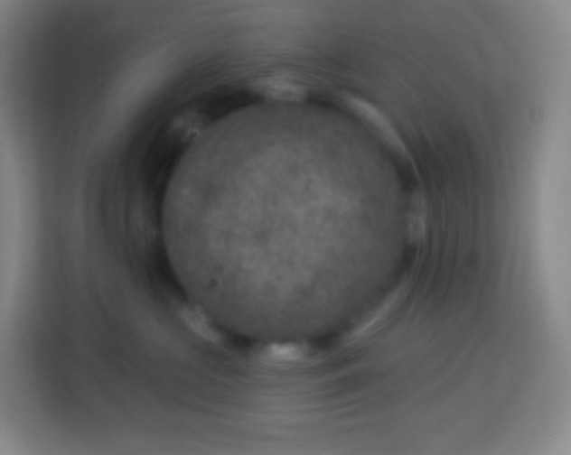 X0000113940573200910091625