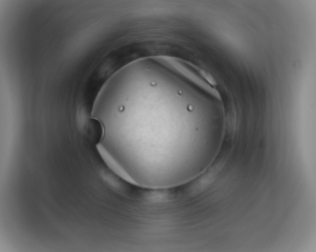 X0000113940574200910091625