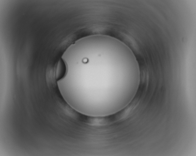 X0000113940575200910091625