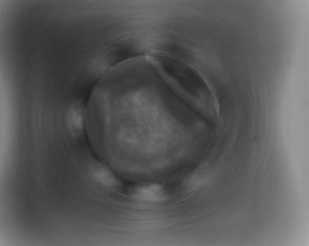 X0000113940576200910091625