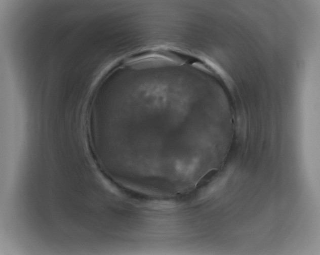 X0000113940577200910091624