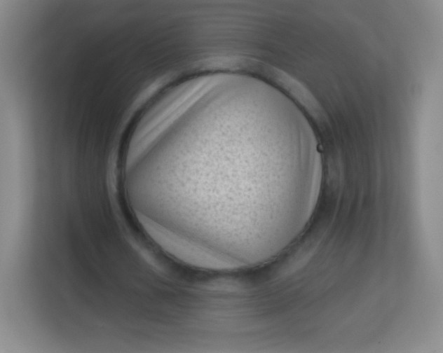 X0000113940578200910091624