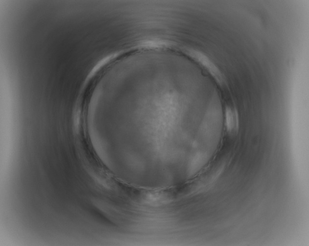 X0000113940579200910091624