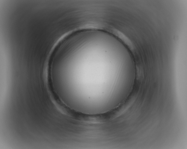 X0000113940580200910091624