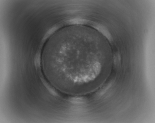 X0000113940581200910091624