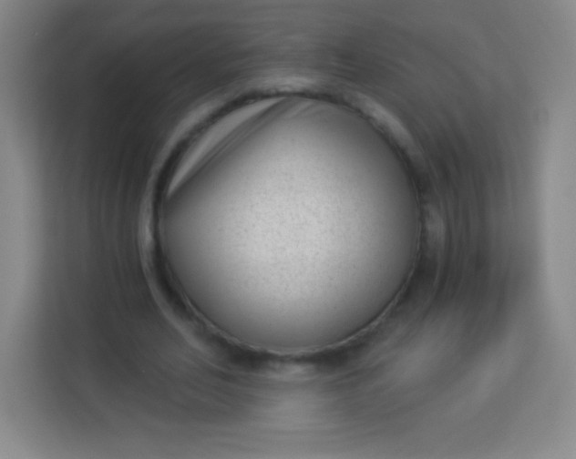 X0000113940582200910091624