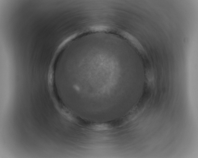 X0000113940583200910091624