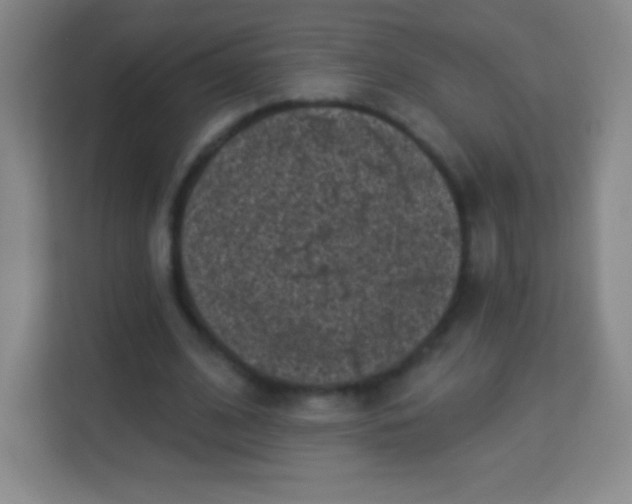 X0000113940584200910091624