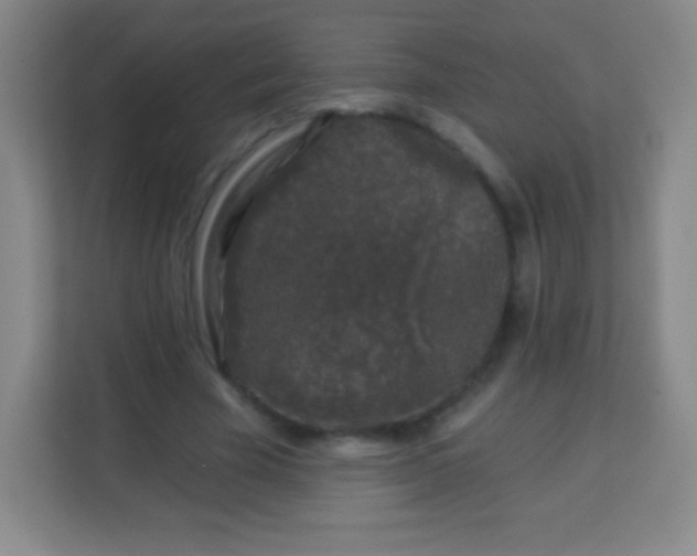 X0000113940585200910091624