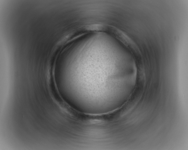 X0000113940586200910091624