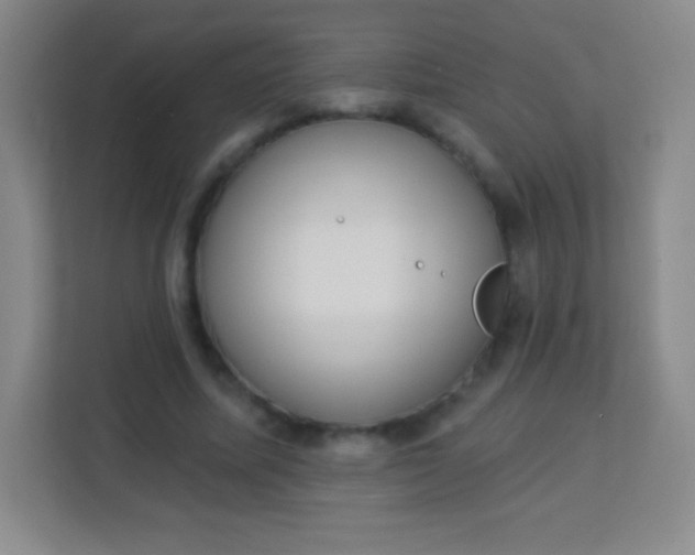 X0000113940587200910091624