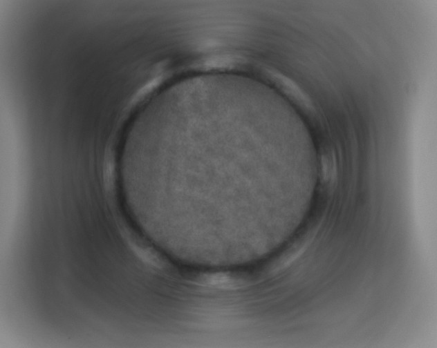 X0000113940588200910091624