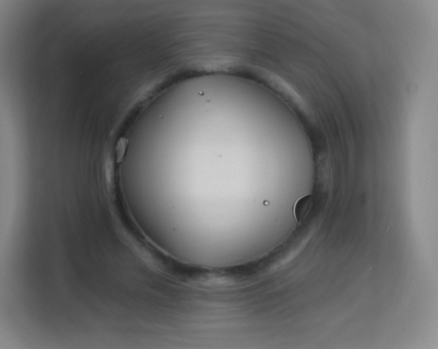 X0000113940589200910091624