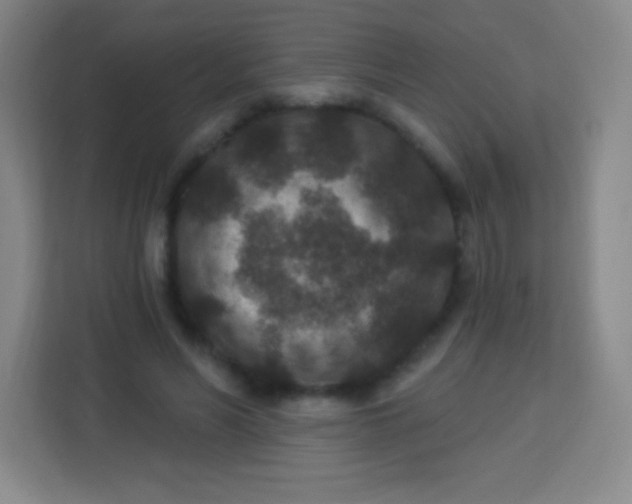 X0000113940590200910091624