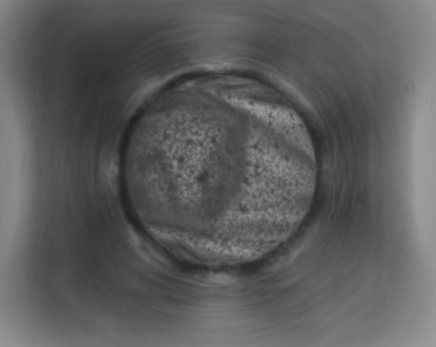 X0000113940592200910091624