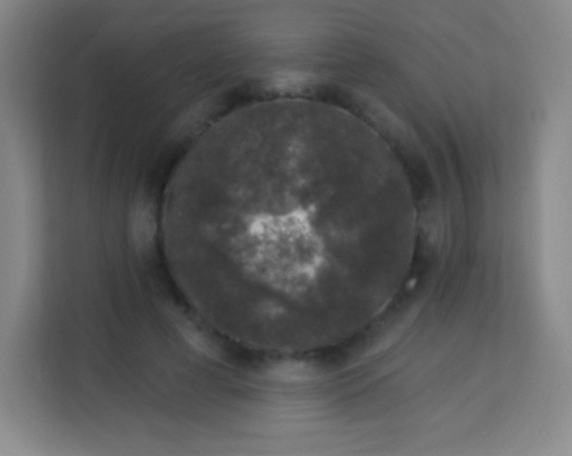 X0000113940593200910091624