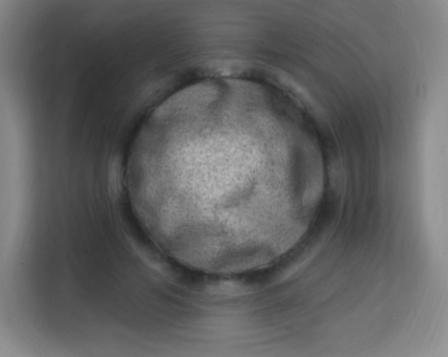 X0000113940594200910091624