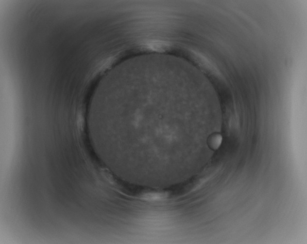 X0000113940595200910091624