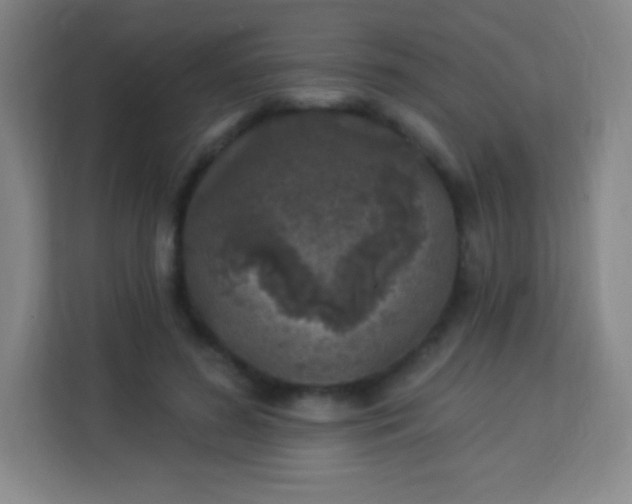 X0000113940596200910091624