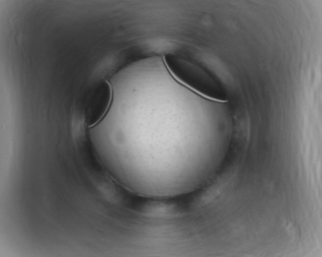 X0000113940597200910091624