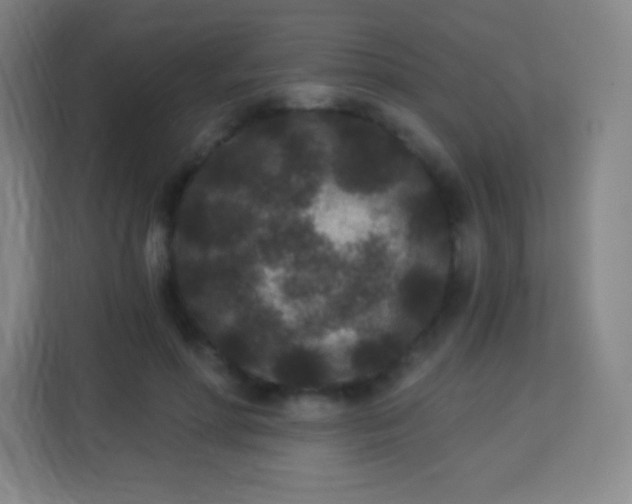 X0000113940598200910091624