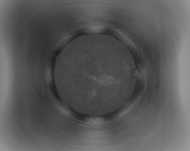 X0000113940599200910091624