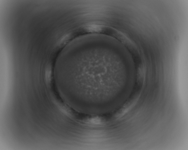 X0000113940600200910091624