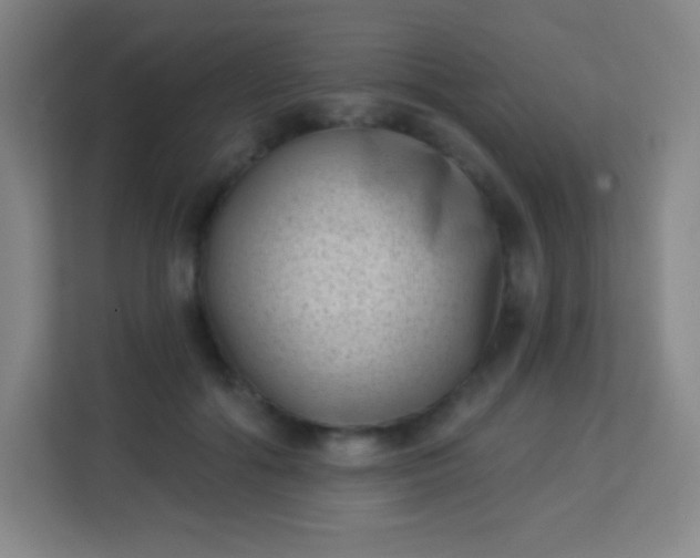 X0000113940602200910091624