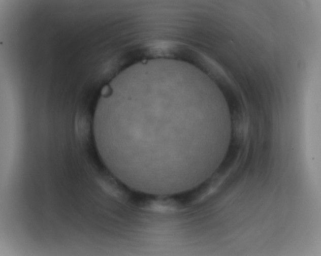 X0000113940603200910091624