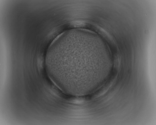 X0000113940604200910091624