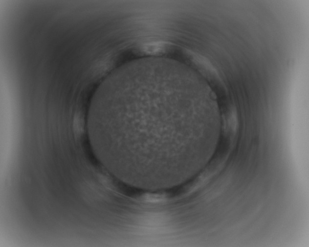 X0000113940606200910091624