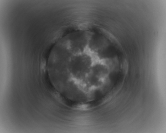 X0000113940610200910091624