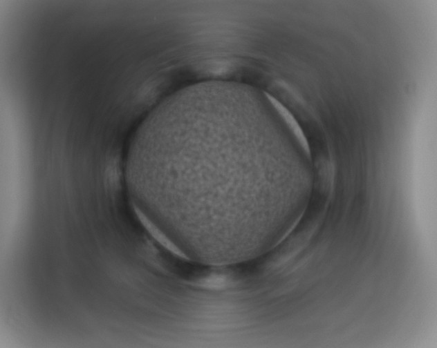 X0000113940612200910091624