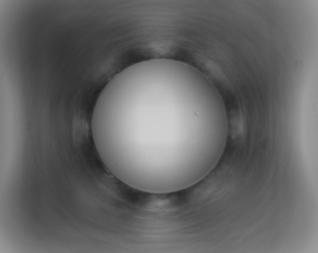 X0000113940613200910091624