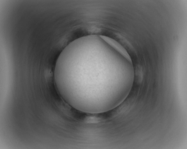 X0000113940614200910091624