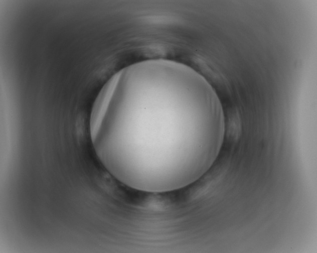 X0000113940616200910091624