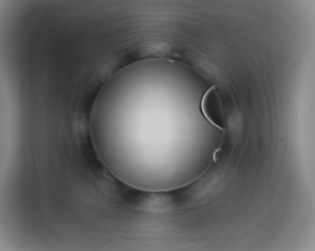 X0000113940617200910091624