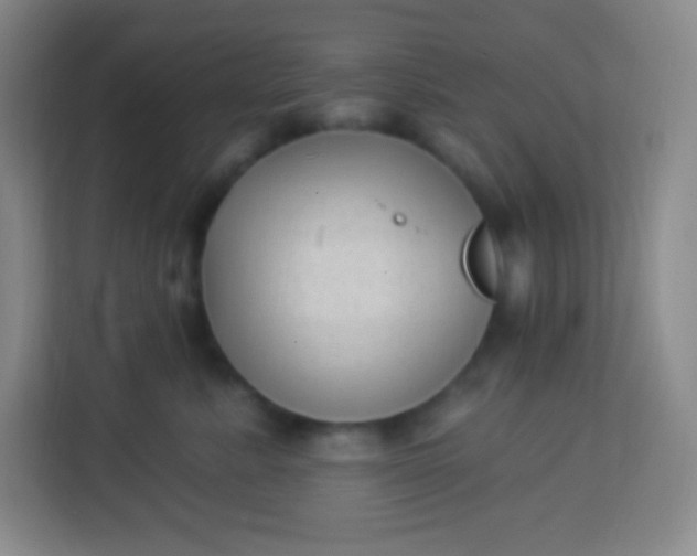 X0000113940619200910091624