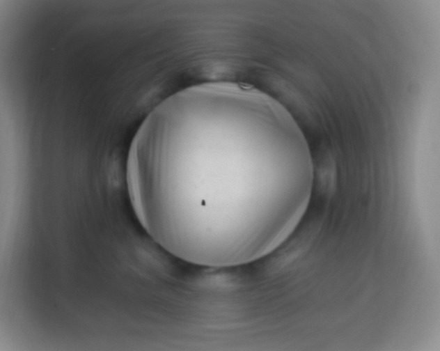 X0000113940620200910091624