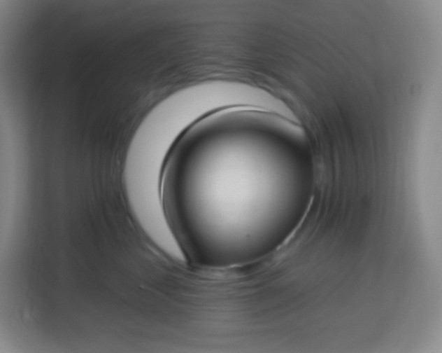 X0000113940621200910091624